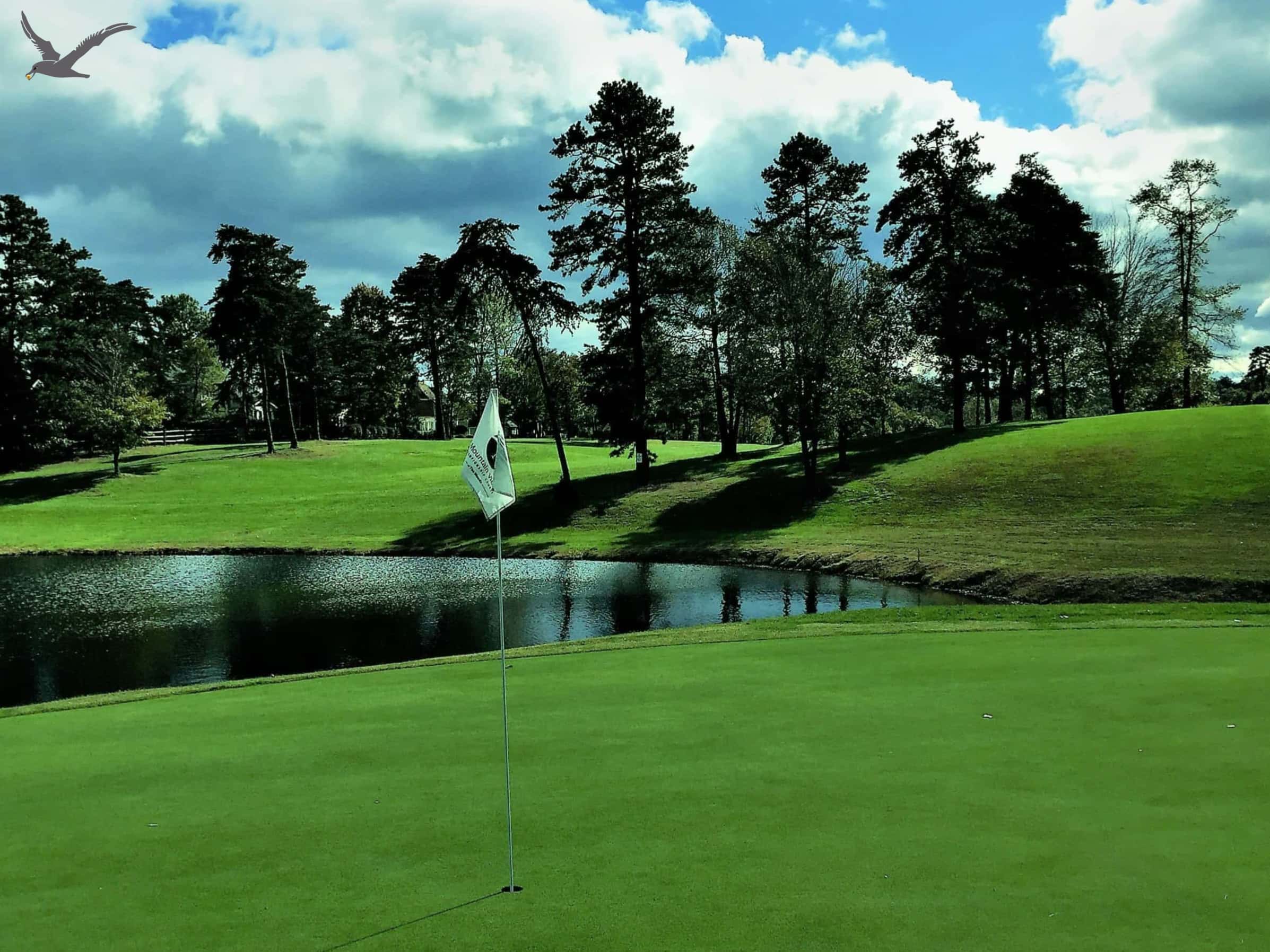 Спортът Albatross: 10 бързи факта за Kown Golf (част 1)